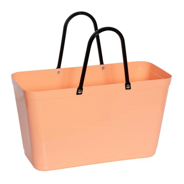 Hovedbilde Aprikos stor bag